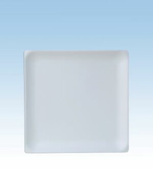 Plato cuadrado compostable 16 cm b-50 c/16