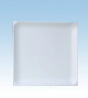 Plato cuadrado compostable 20 cm b-50 c/16