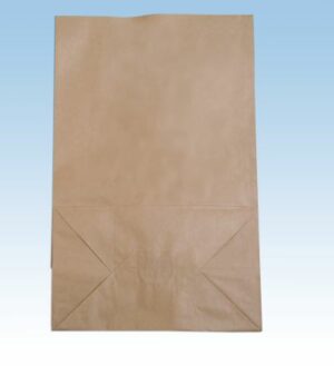 Bolsa papel kraft 22x35+7 pqt 100 c/10