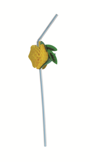 Paja con fruta c/144