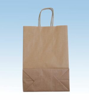 Bolsa papel kraft asas 22+10x29 pq 50 c/5
